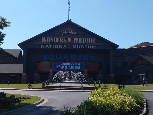 IMG_20180527_095104693