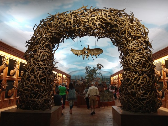 IMG_20180527_105741630_LL