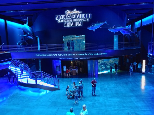 IMG_20180527_114002370_LL