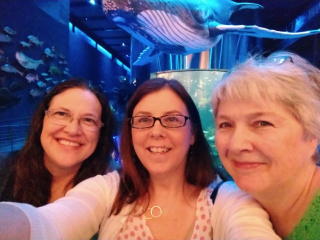 IMG_20180527_123041965_LL