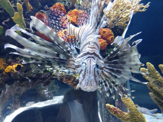 IMG_20180527_130957621