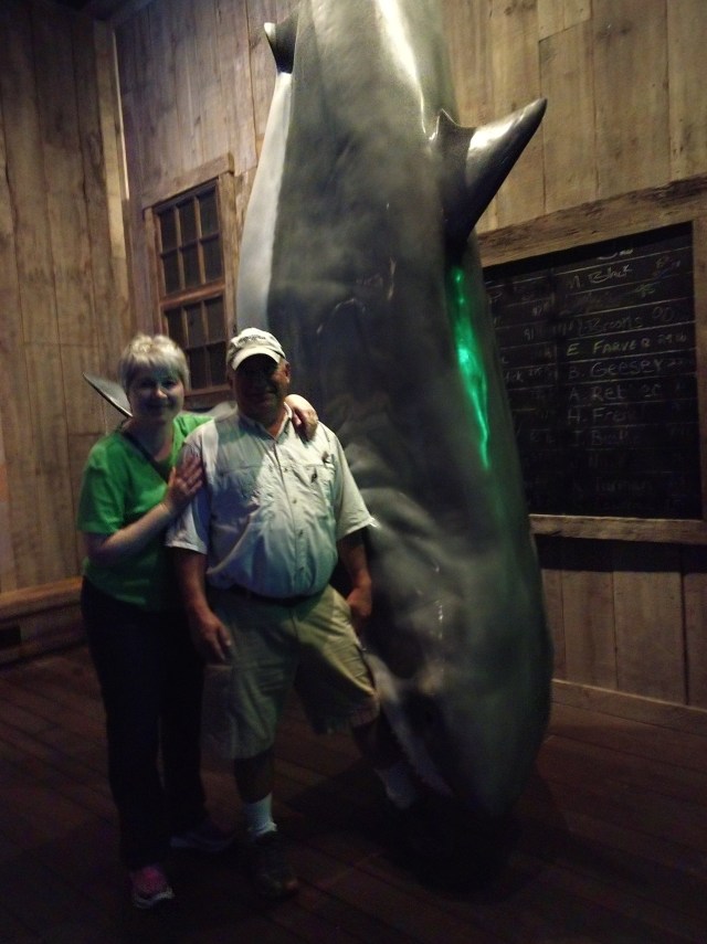 IMG_20180527_131604779_LL